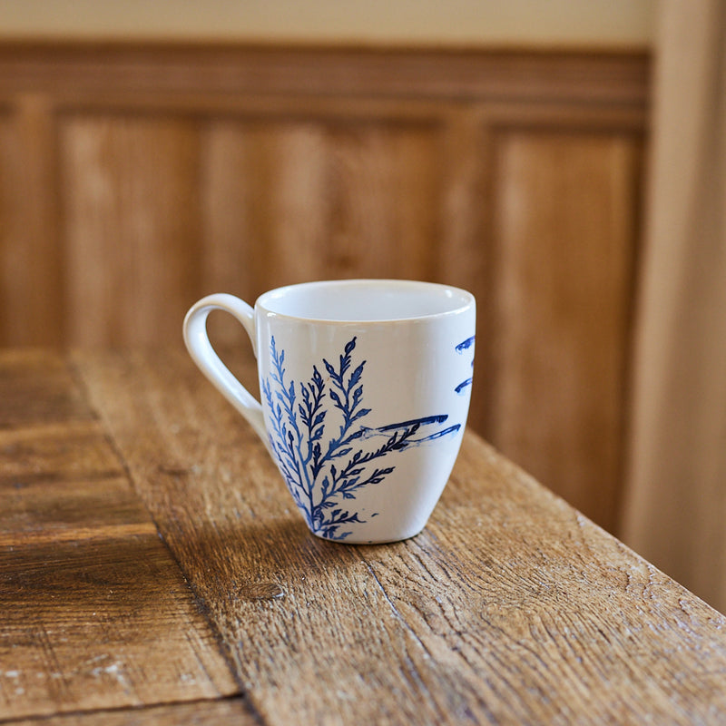 Kate Stein Sealife Fish Mug