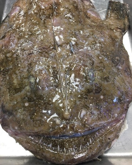 How to cook monkfish | Rick Stein | Rick Stein
