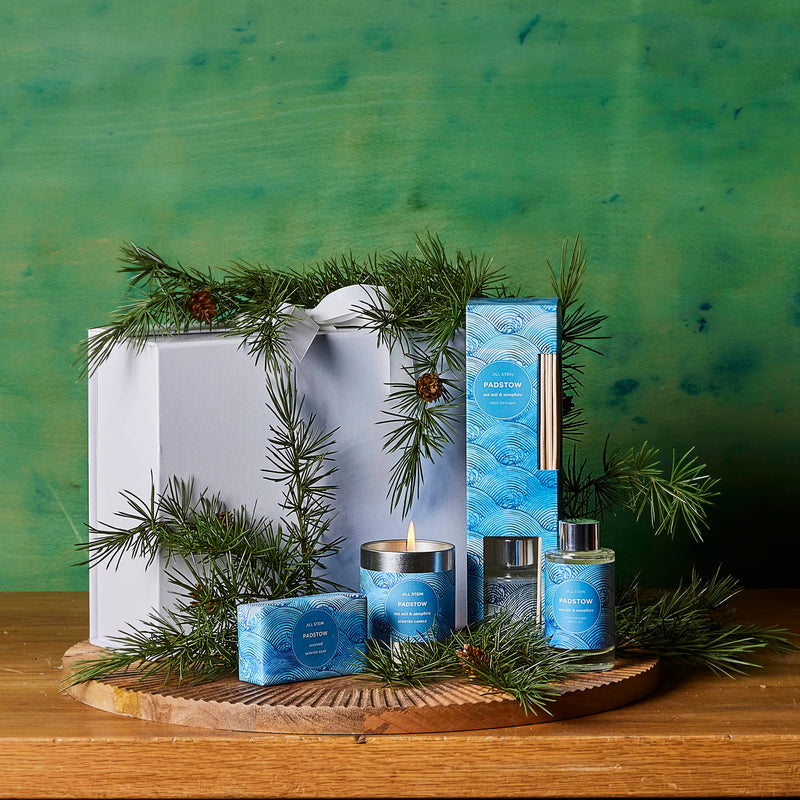 Jill Stein's Christmas Home Box