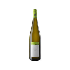 Riesling, Stefan Winter, Rheinhessen, Germany 2022
