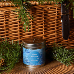 Jill Stein's Christmas Home Box