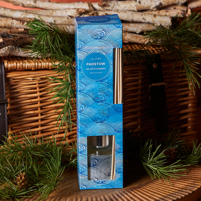 Jill Stein's Christmas Home Box