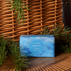 Jill Stein's Christmas Home Box