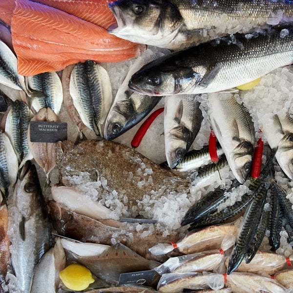 Fishmongers fish clearance and potato puppy