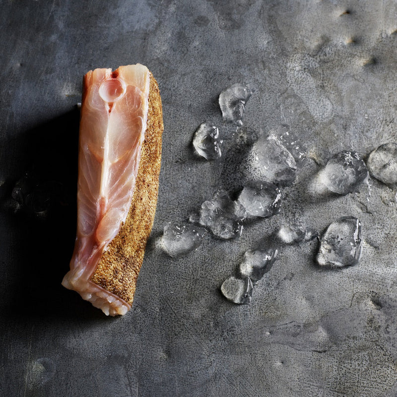 Tronçon of Turbot (Two portions)